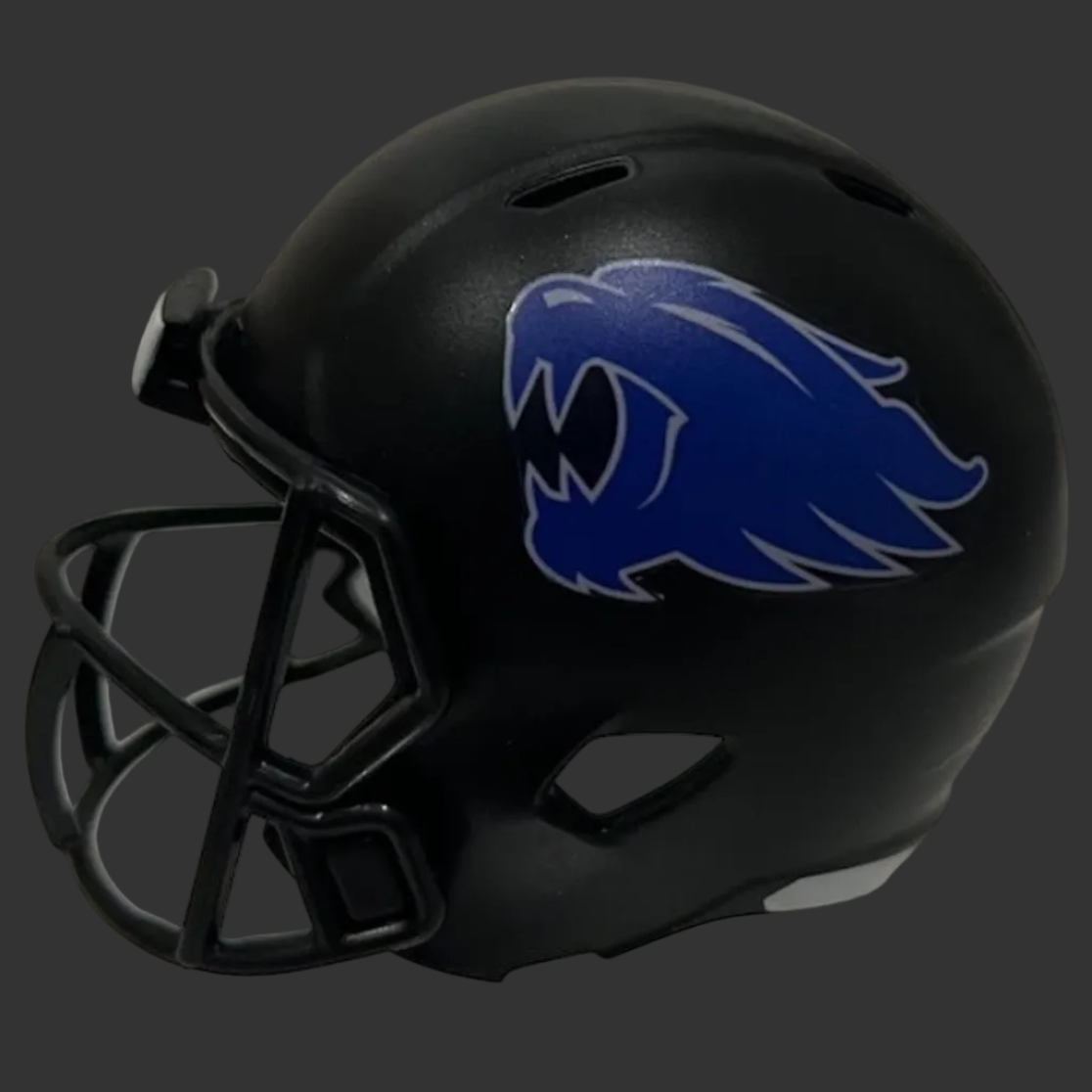 Custom Kentucky Wildcats Pocket Pro Helmet Black American Conference