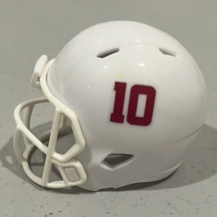 Custom Temple Owls Pocket Pro Helmet White American Conference