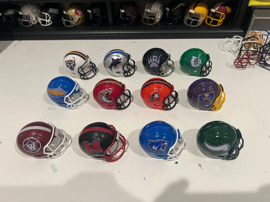 Custom lot of 12 helmets fantasy league