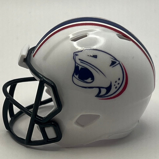 Custom South Alabama Jaguars Pocket Pro Helmet White Sun Belt