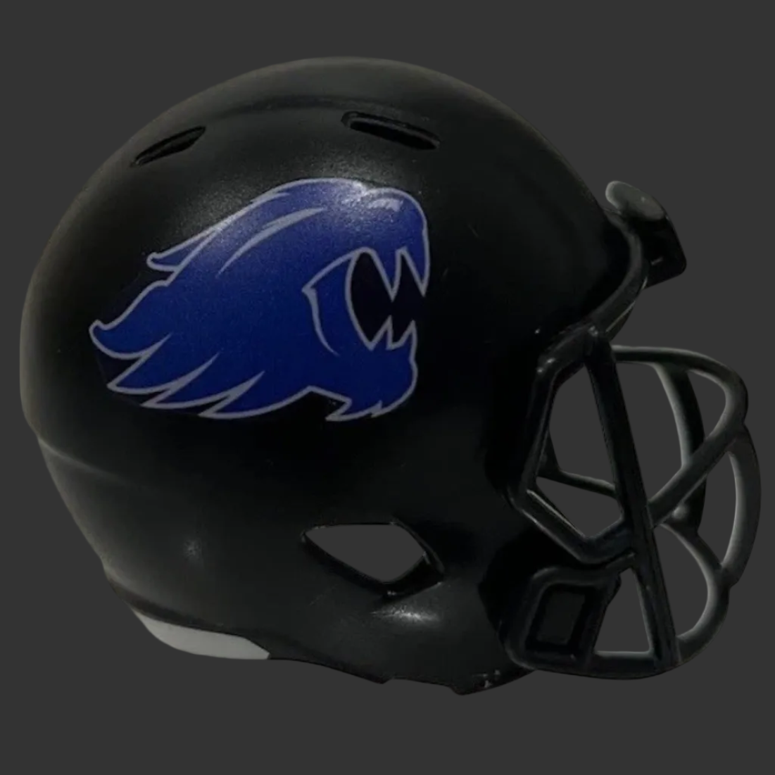Custom Kentucky Wildcats Pocket Pro Helmet Black American Conference