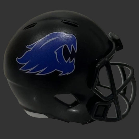 Custom Kentucky Wildcats Pocket Pro Helmet Black SEC