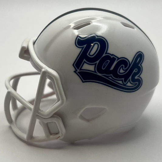 Custom Nevada Wolf Pack Pocket Pro Helmet White Mountain West