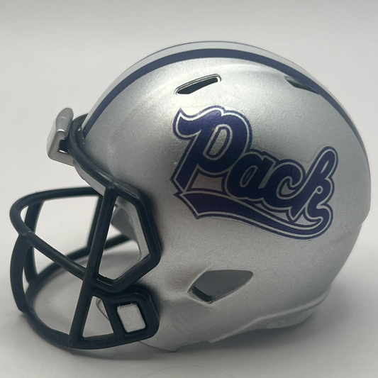 Custom Nevada Wolf Pack Pocket Pro Helmet Silver Mountain West